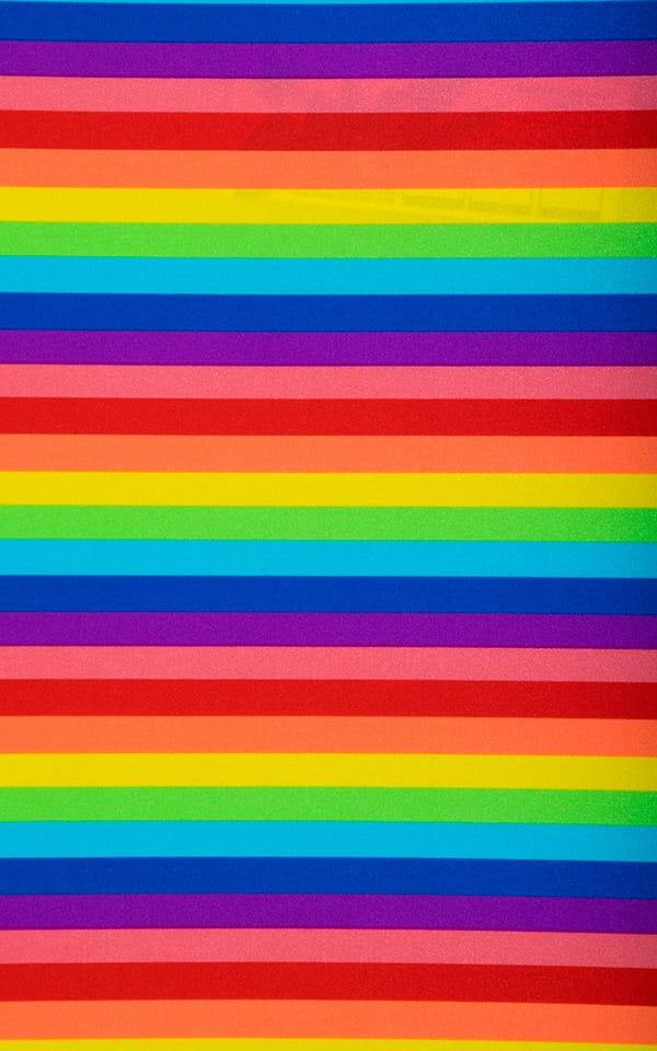 Brazilian Triangle Swim Top Swimtop in Pride Rainbow Stripe Fabric