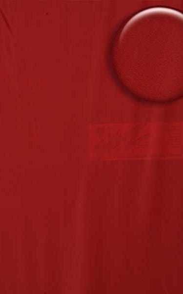 Brazilian Triangle Swim Top in Semi Sheer ThinSkinz Red Fabric