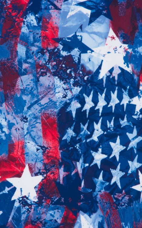 Boy Cut Swim Shorts Bottom in American Flag Collage Fabric