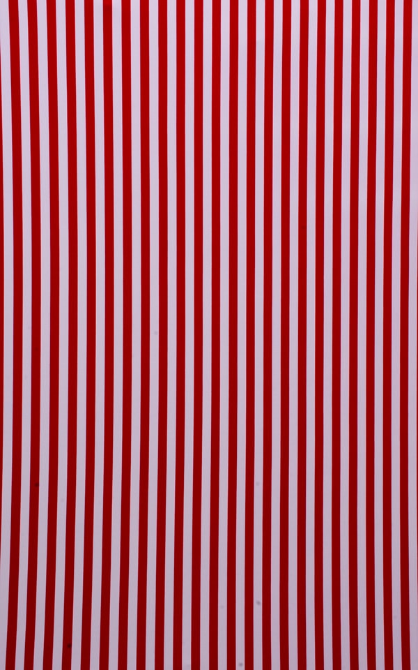 American Stripes tricot-nylon-lycra 4