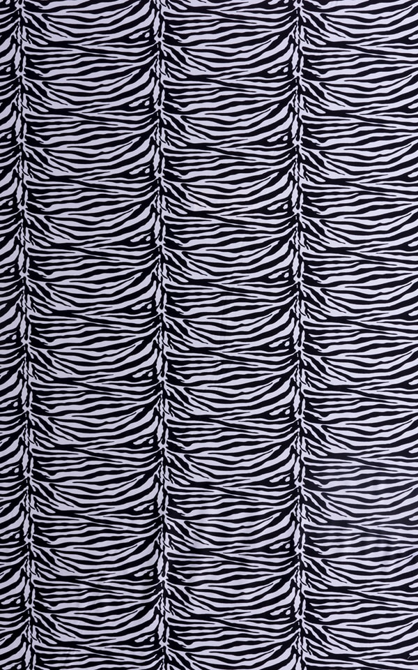 Classic black white zebra print 2
