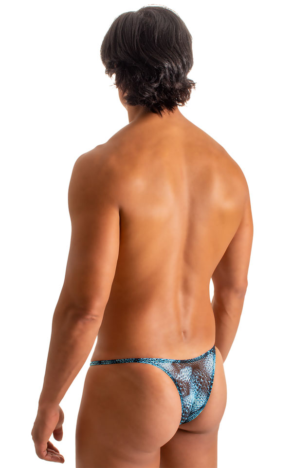 Mens Micro String Bikini Swimsuit in Semi Sheer Eros Printed Mesh 9