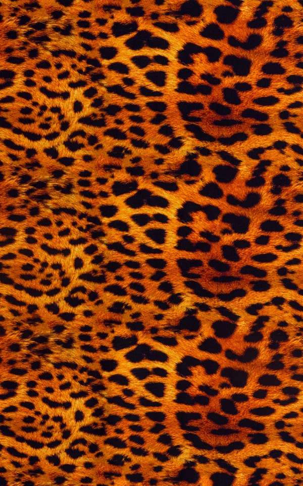 Triangle Swim Top in Golden Leopard Fabric
