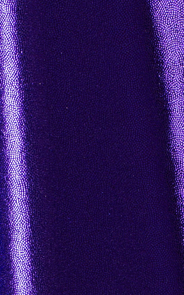 Mystique Eggplant-Purple nylon-lycra 2