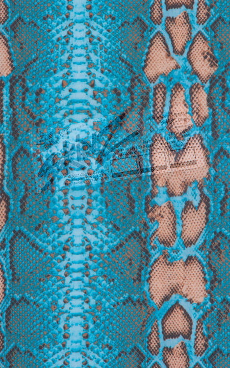 Color Blocked T Back Thong Bikini in Aqua Python & Aqua Python Print on Mesh Fabric