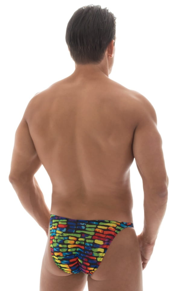 Stuffit Pouch Bikini Swimsuit in Tan Through Technicolor, Rear View
