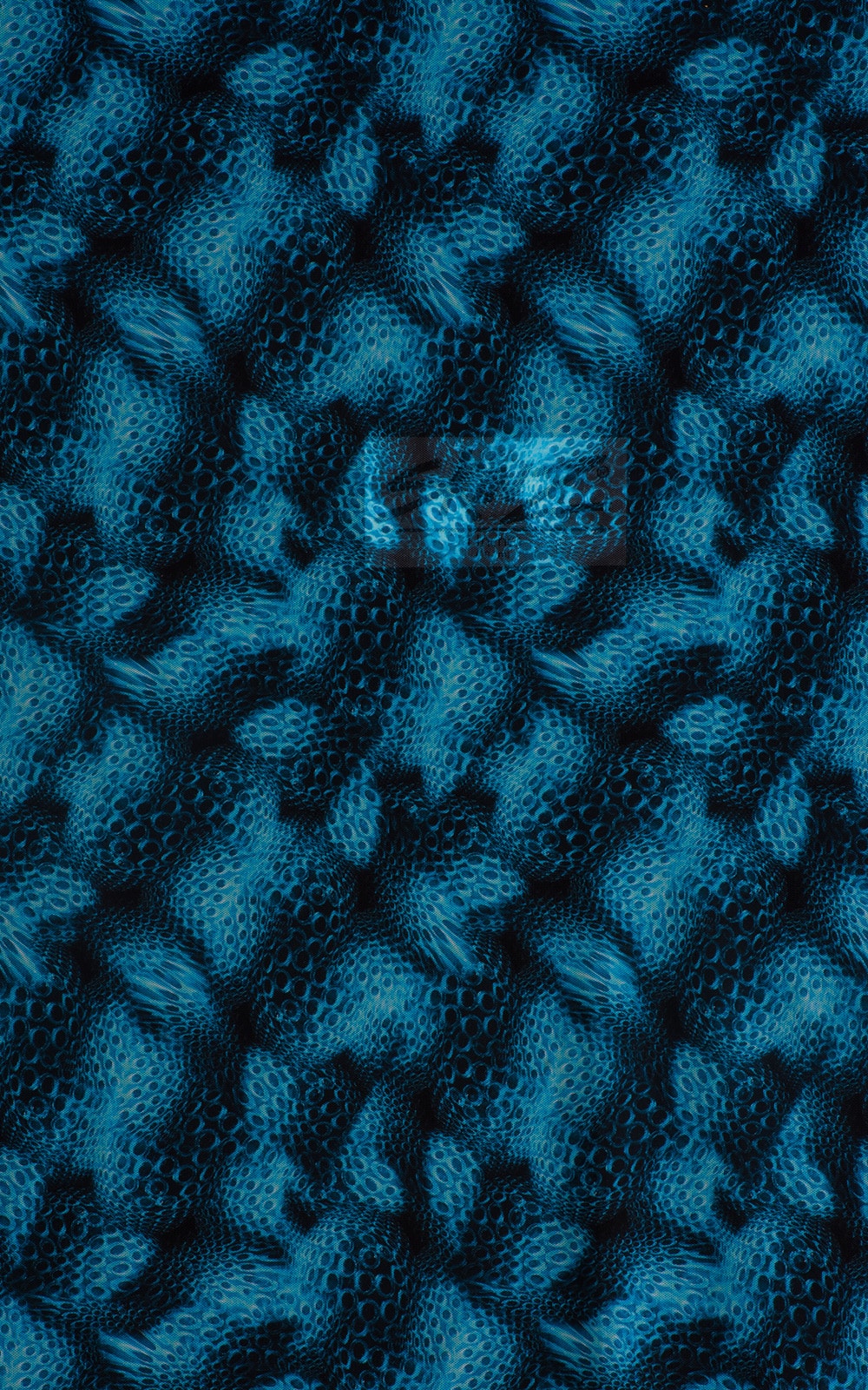 Extreme Low Square Cut Swim Trunks in Semi Sheer Eros Printed Mesh Fabric