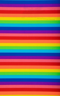 Rainbow Stripe Tricot nylon lycra print 1