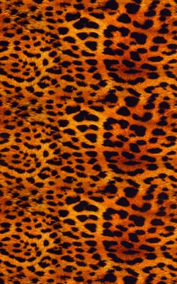 Golden Leopard tricot-nylon-lycra 1