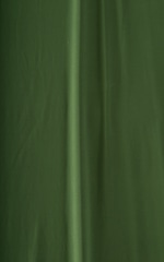 Posing Suit - High Cut - Half Back - Scrunchie in  ThinSkinz Sage Fabric