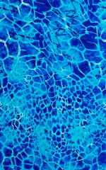 Boy Cut Swim Shorts Bottom in New World Blue Fabric