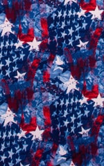 Brazilian Triangle Swim Top in American Flag Collage 99.8