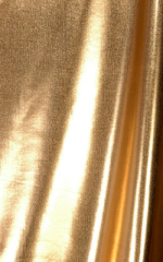 Crop Tank Top in Liquid Gold Metallic lycra Fabric