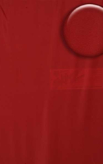 Teardrop G String Swim Suit in Semi Sheer ThinSkinz Red Fabric