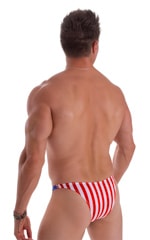 Mens Tanning Bikini Swimsuit in Royal Stars and Red Stripes 2