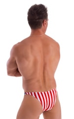 Rio Tanning Bikini Swimsuit in Stars and Stripes Tricot nylon/lycra, Rear View