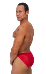 Swimsuit Cover Up Split Running Shorts in Red Stretch Mesh, Rear View