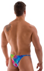 Sunseeker Micro Pouch Half Back Bikini in ThinSKINZ Diagonal Plaid, Rear View
