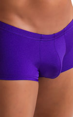 Fitted Pouch - Boxer - Swim Trunks in Royal Purple 3