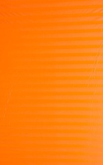 Orange Satin Stripe Mesh Fabric