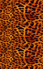 Triangle Swim Top in Golden Leopard Fabric