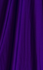 Banded Brazilian Bikini Top in Royal Purple with Lime Binding 99.8