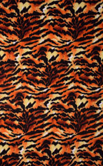 Cheekini Scrunchie Banded Tie Bottom in Super Thin Skinz Wild Tiger with Black Binding Fabric